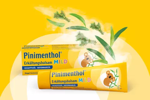 Packshot Pinimenthol Erkältungsbalsam mild