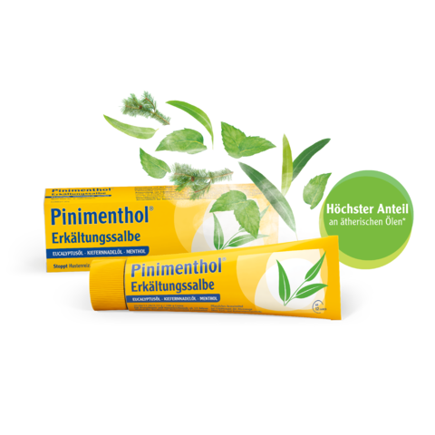 Packshot Pinimenthol Erkältungssalbe