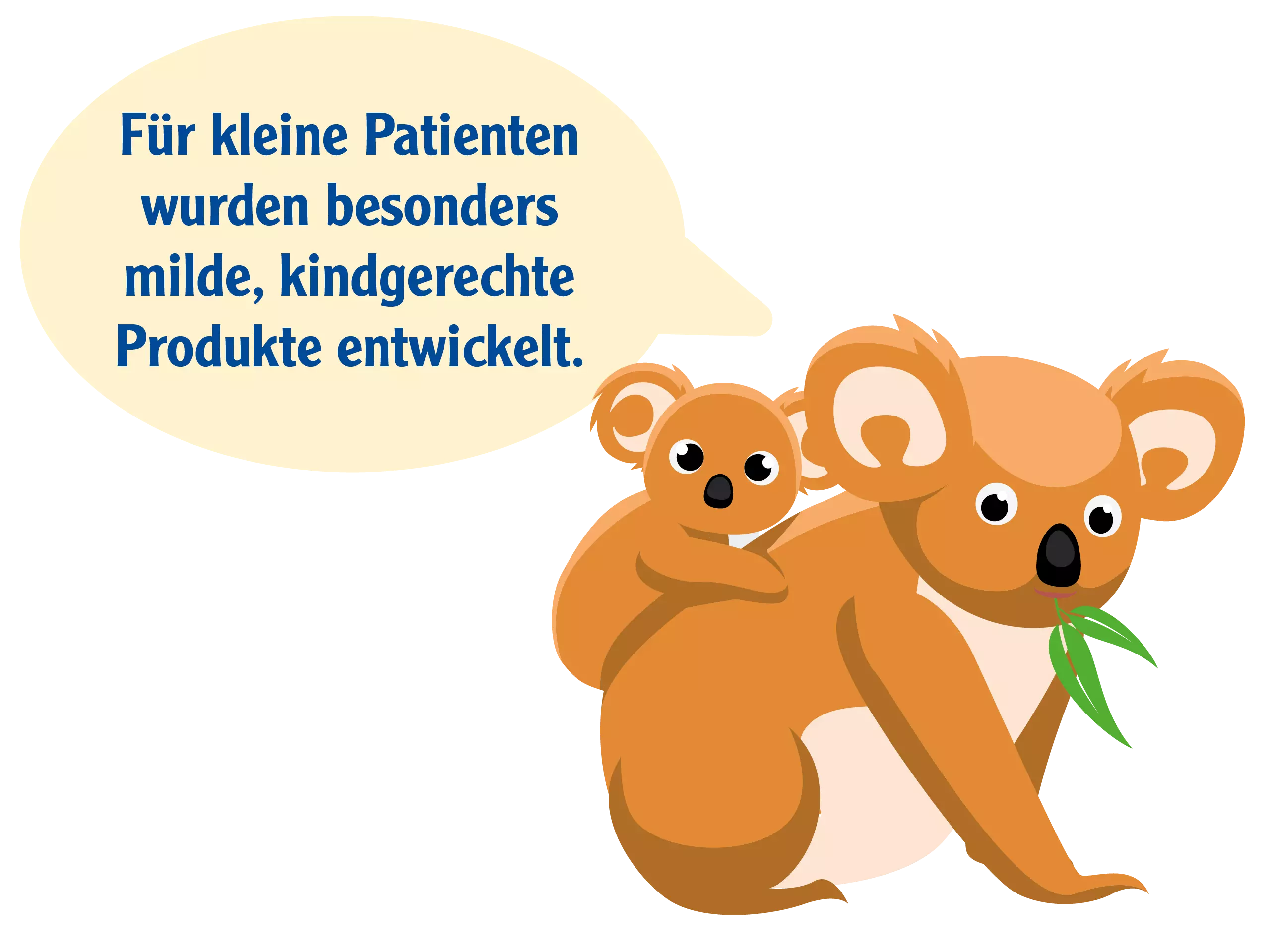 Koalabär mit Infotext