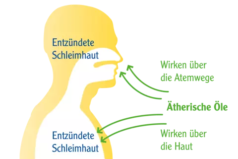 So wirkt Pinimenthol Erkältungsbad