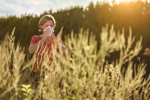 Frau auf einer Niese mit einer Allergie
