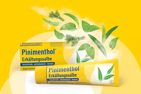 Pinimenthol Erkältungssalbe