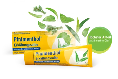 Packshot Pinimenthol Erkältungssalbe