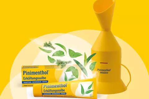 Packshot Pinimenthol Inhalator und Erkältungssalbe