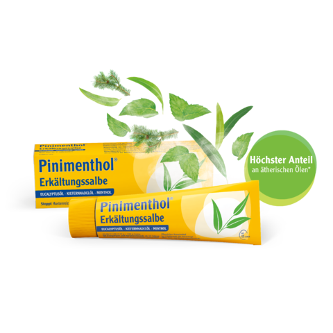 Packshot Pinimenthol Erkältungssalbe