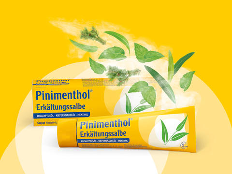Packshot Pinimenthol Erkältungssalbe