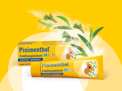 Packshot Pinimenthol Erkältungsbalsam mild